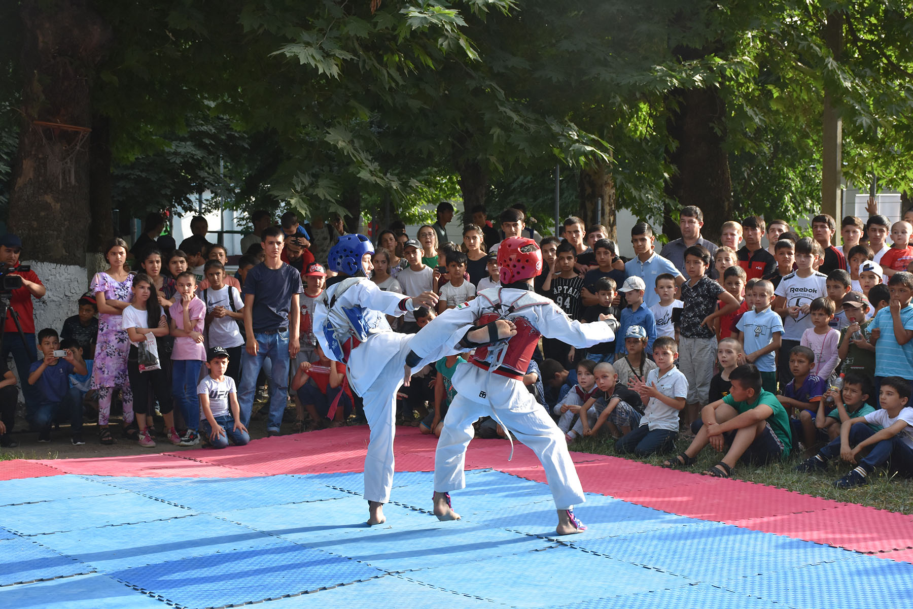 reebok taekwondo