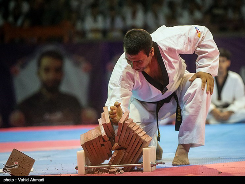taekwondo day 2019 - IRAN FED TKD (69)
